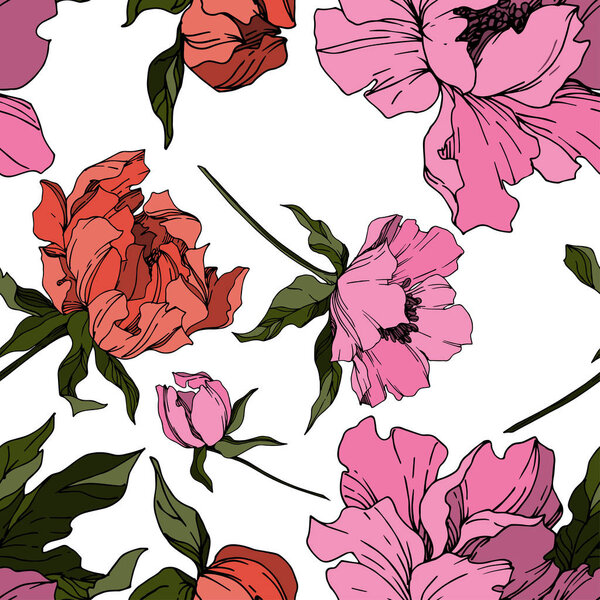 Vector Peony цветочные ботанические цветы. Чёрно-белая гравировка
 