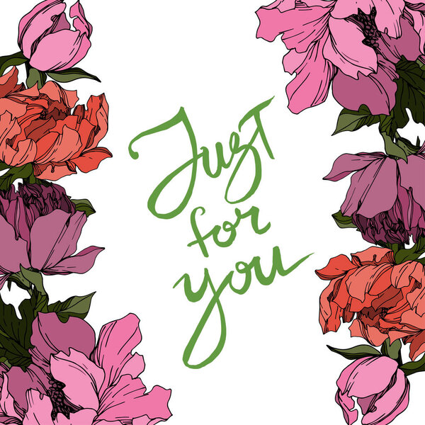 Vector Peony floral botanical flowers. Black and white engraved 