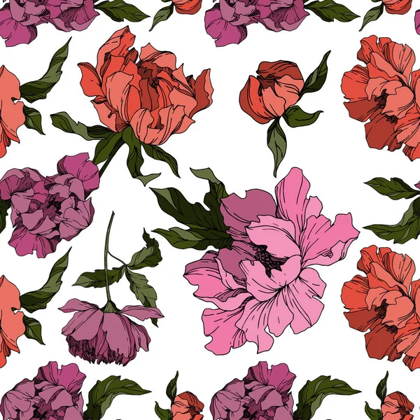 Vector Peony bloemen botanische bloemen. Zwart-wit gegraveerd — Stockvector