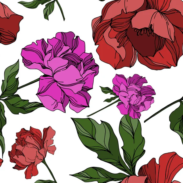 Vector Peony bloemen botanische bloemen. Zwart-wit gegraveerd — Stockvector