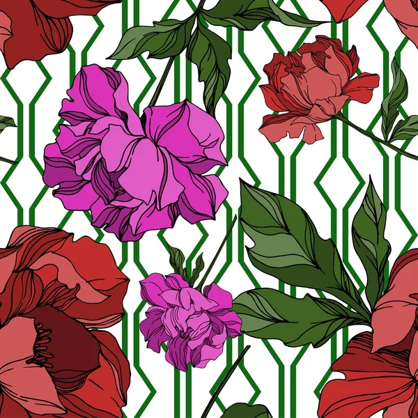 Vector Peony flores botânicas florais. Preto e branco gravado —  Vetores de Stock