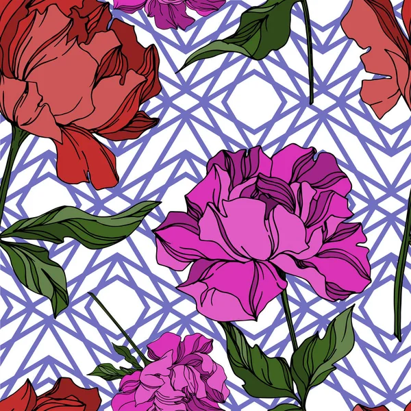 Vector Peony flores botánicas florales. Grabado en blanco y negro — Archivo Imágenes Vectoriales