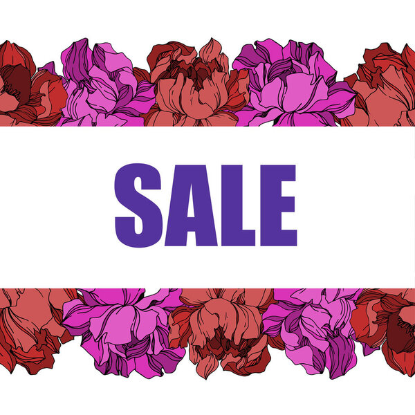 Vector Peony цветочные ботанические цветы. Чёрно-белая гравировка
 