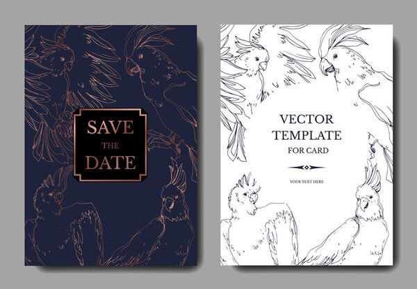 Векторный небесный какаду в дикой природе. Чёрно-белая гравировка
