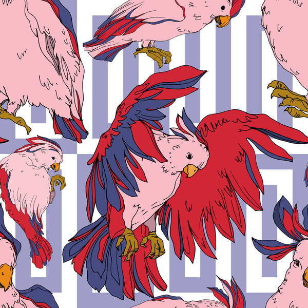 Vector Sky bird cockatoo in a wildlife isolated. Black and white