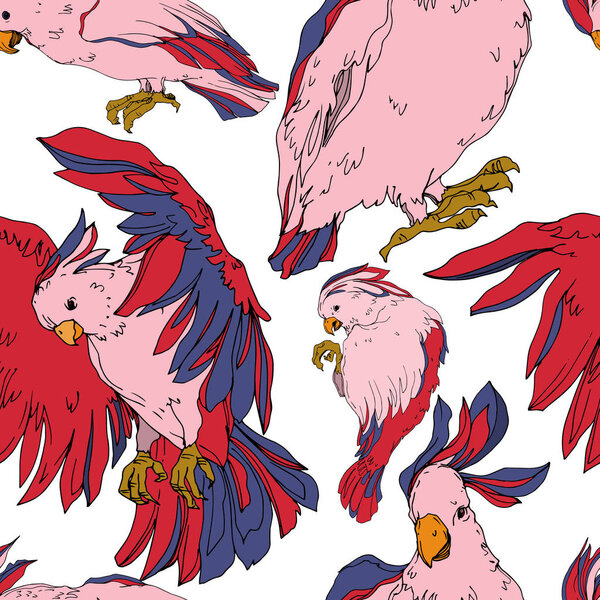 Vector Sky bird cockatoo in a wildlife isolated. Black and white