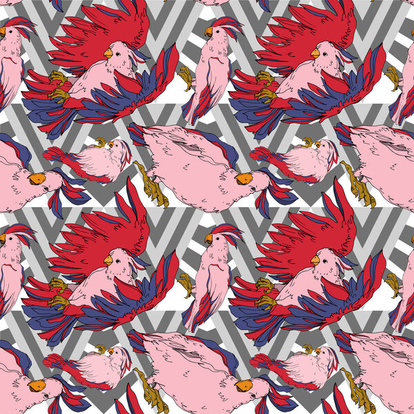 Vector Sky bird cockatoo in a wildlife isolated. Black and white