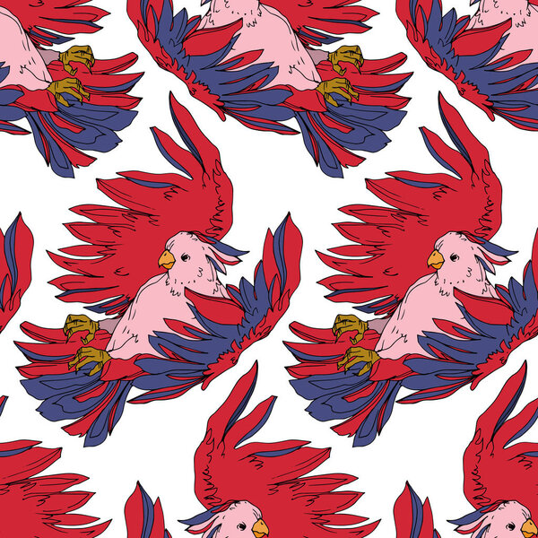 Vector Sky bird cockatoo in a wildlife isolated. Black and white