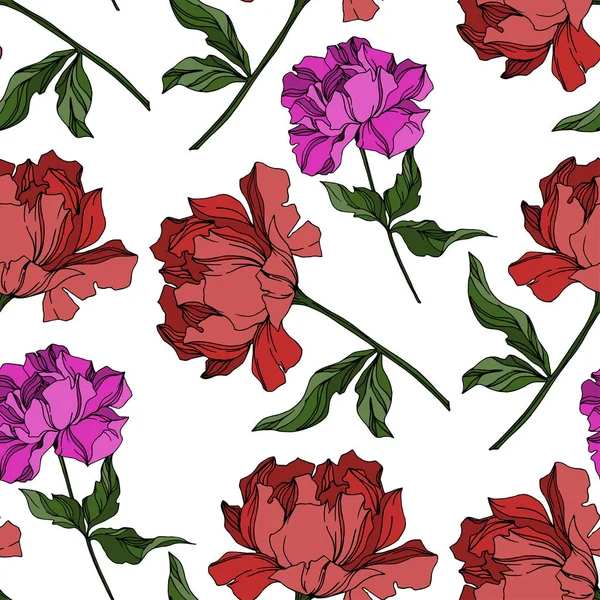 Vector Peony цветочные ботанические цветы. Чёрно-белая гравировка — стоковая иллюстрация Vector Peony цветочные ботанические цветы. Чёрно-белая гравировка Стоковый вектор
