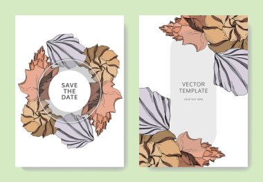 Vector Summer plaj kabuğu tropikal elementler. Siyah beyaz işlemeli mürekkep sanatı. Düğün arkaplanı dekoratif sınır. Teşekkür ederim, RSVP, davetiye şık kart illüstrasyon grafik pankartı.