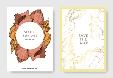 Vector Summer plaj kabuğu tropikal elementler. Siyah beyaz işlemeli mürekkep sanatı. Düğün arkaplanı dekoratif sınır. Teşekkür ederim, RSVP, davetiye şık kart illüstrasyon grafik pankartı.