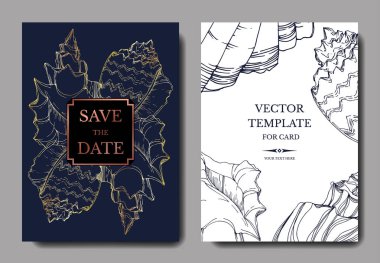 Vector Summer plaj kabuğu tropikal elementler. Siyah beyaz işlemeli mürekkep sanatı. Düğün arkaplanı dekoratif sınır. Teşekkür ederim, RSVP, davetiye şık kart illüstrasyon grafik pankartı.