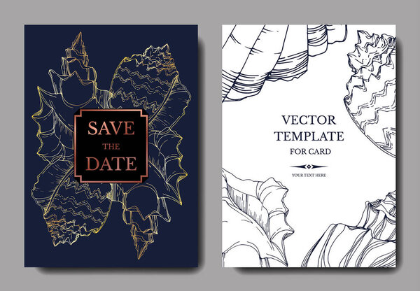 Летний пляж "Вектор". Черно-белый рисунок чернил. Свадебная карточка декоративная граница. Спасибо, rsvp, приглашение элегантная карточная иллюстрация графический набор баннер
.