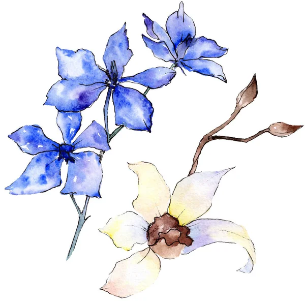 Purple and white orchid flowers isolated on white. Watercolor background illustration. Hand drawn aquarelle flowers. — Stock Photo