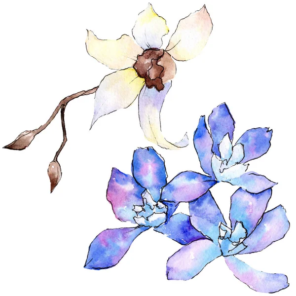 Violette und weiße Orchideenblüten isoliert auf weiß. Aquarell-Hintergrundillustration. Handgezeichnete Aquarellblumen. — Stockfoto