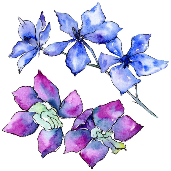 Flores de orquídea púrpura y azul aisladas en blanco. Ilustración de fondo acuarela. Flores de acuarela dibujadas a mano . — Stock Photo
