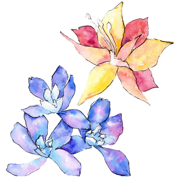 Flores de orquídea púrpura y amarilla. Elemento de ilustración aislado. Ilustración de fondo acuarela. Flores de acuarela dibujadas a mano . - foto de stock