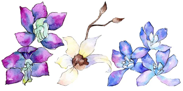 Violette und weiße Orchideenblüten isoliert auf weiß. Aquarell-Hintergrundillustration. Handgezeichnete Aquarellblumen. — Stockfoto
