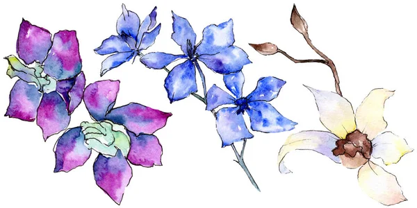 Flores de orquídeas roxas e brancas isoladas em branco. ilustração fundo aquarela. Flores aquarelle desenhadas à mão . — Fotografia de Stock