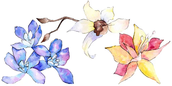 Violette, gelbe und weiße Orchideenblüten isoliert auf weiß. Aquarell-Hintergrundillustration. Handgezeichnete Aquarellblumen. — Stockfoto