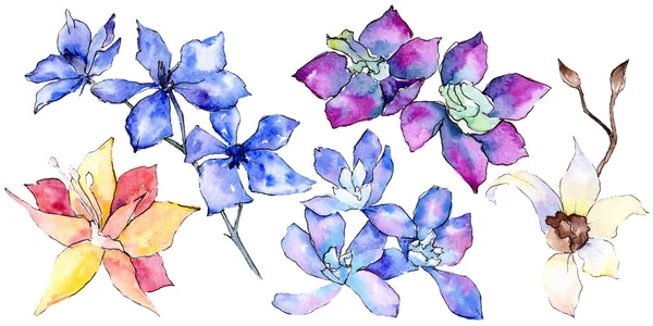 Fiori di orchidea viola, gialli e bianchi isolati su bianco. Illustrazione acquerello sfondo. Fiori di acquarello disegnati a mano . — Foto stock