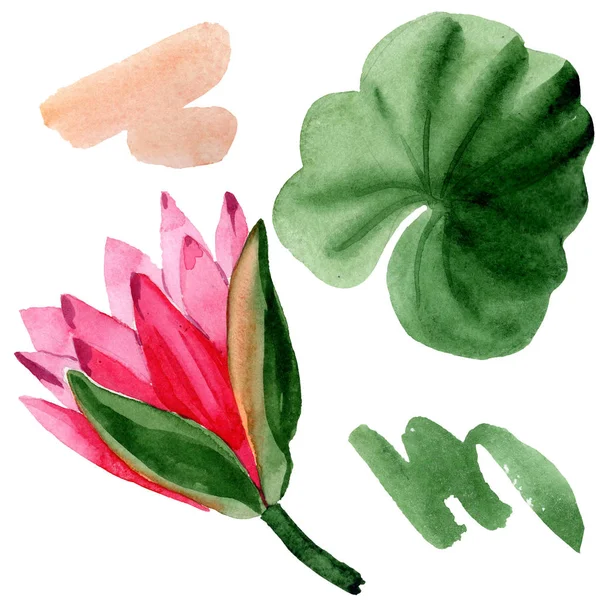 Fiore di loto rosso con foglia verde isolata su bianco. Fiore botanico floreale. Acquerello sfondo illustrazione . — Foto stock