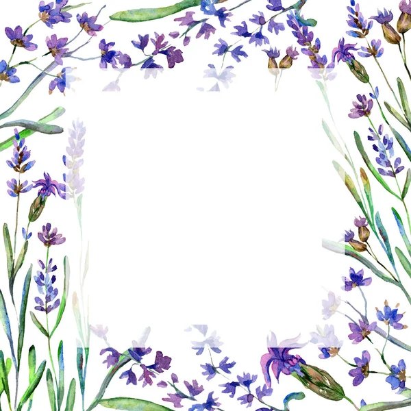 Purple lavender flowers. Wild spring flowers. Watercolor background illustration. Frame border square. — Stock Photo