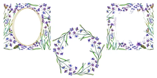 Фіолетові квіти лаванди. Листя дикої весни. Набір акварельних фонів. Набір квадратних, круглих і вінцевих рам . — стокове фото