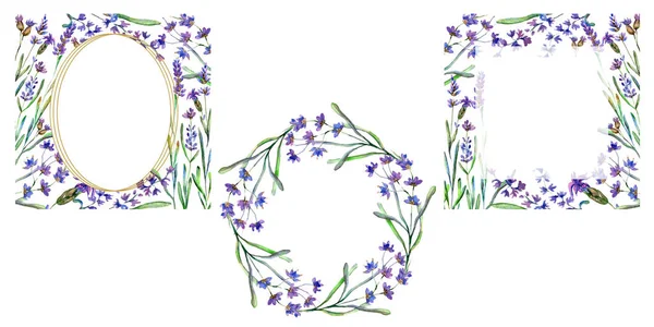 Fiori viola di lavanda. Foglie primaverili. Sfondi ad acquerello impostati. Cornici quadrate, rotonde e a ghirlanda . — Foto stock