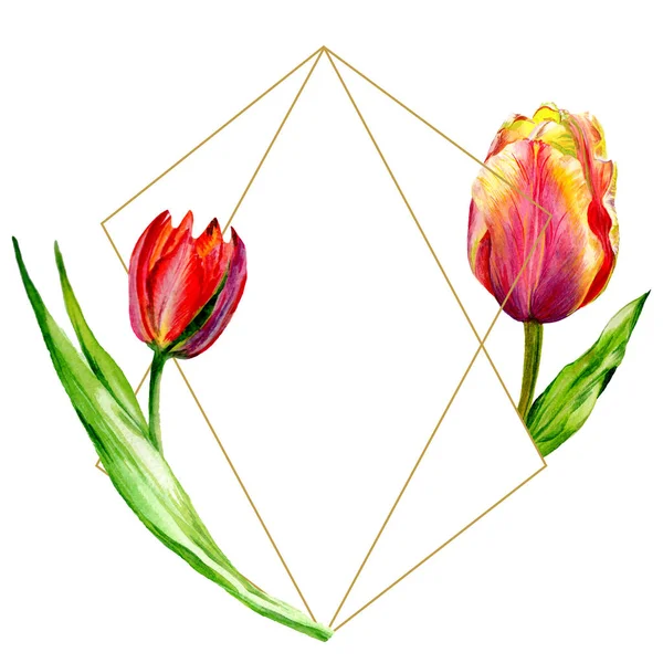 Incroyables fleurs de tulipes rouges avec des feuilles vertes. Fleurs botaniques dessinées à la main. Illustration de fond aquarelle. Cadre bordure ornement cristal. Pierre de cristal de polygone de quartz géométrique . — Photo de stock