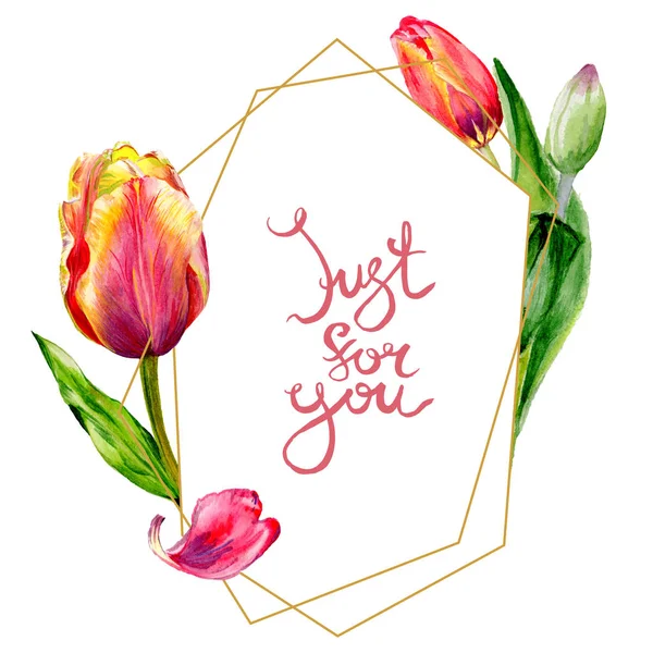 Amazing red tulip flowers with green leaves. Just for you handwriting monogram calligraphy. Watercolor background illustration. Frame crystal. Geometric shape. — Stock Photo