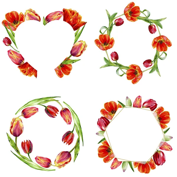 Increíbles flores de tulipán rojo con hojas verdes. Flores botánicas hechas a mano. Acuarela fondos establecidos. Corona ornamental, marcos de cristal cuadrado, corazón y oro - foto de stock