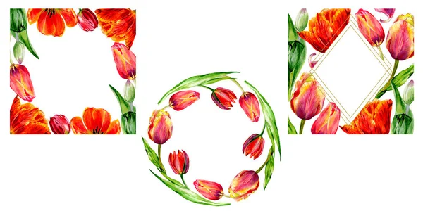 Increíbles flores de tulipán rojo con hojas verdes. Flores botánicas hechas a mano. Acuarela fondos establecidos. Corona ornamental, marcos de cristal cuadrado y dorado - foto de stock