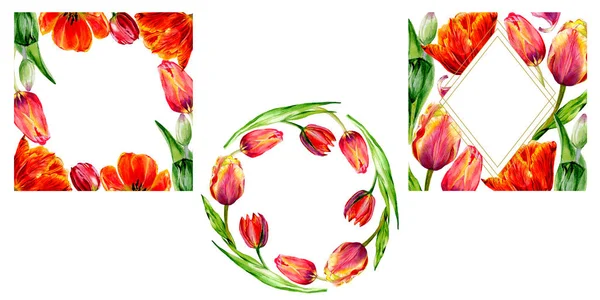 Erstaunliche rote Tulpenblüten mit grünen Blättern. handgezeichnete botanische Blumen. Aquarell-Hintergründe gesetzt. Zierkranz, quadratische und goldene Kristallrahmen — Stockfoto