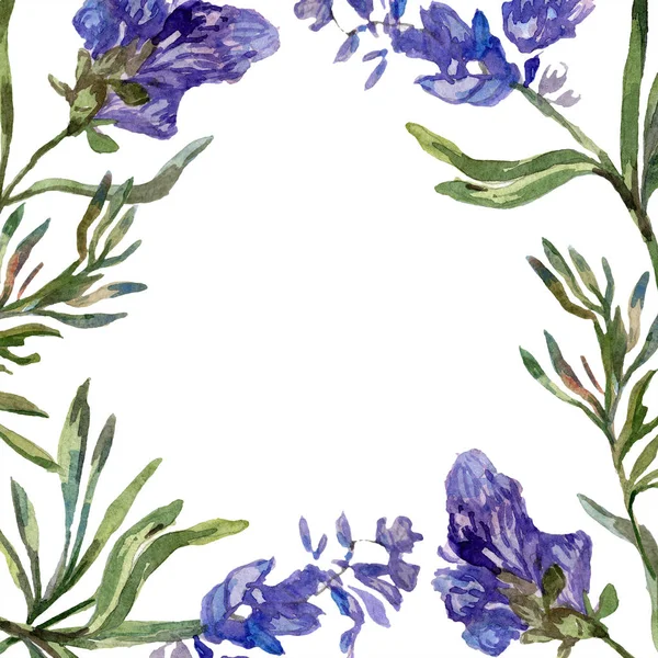 Fiori viola di lavanda. Fiori selvatici primaverili. Illustrazione acquerello sfondo. Quadrato bordo cornice . — Foto stock