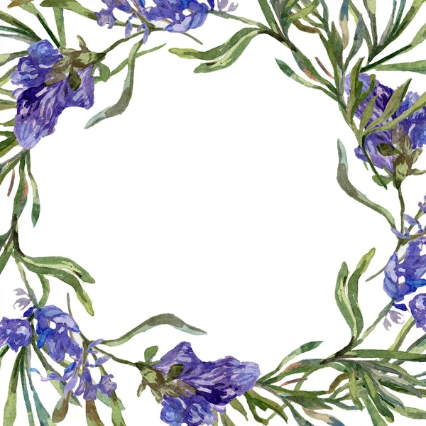 Purple lavender flowers. Spring wildflowers. Watercolor background illustration. Wreath frame border. — Stock Photo