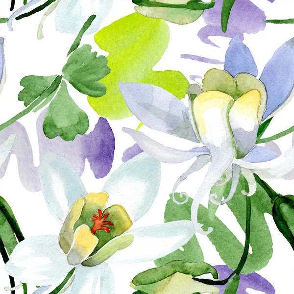 Flores de aquilegia blanca. Hermosas flores silvestres de primavera. Patrón de fondo sin costuras. Textura de impresión de papel tapiz de tela. Ilustración fondo acuarela . - foto de stock