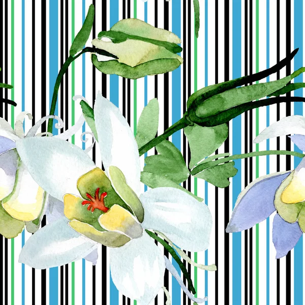 Weiße Aquilegienblüten. schöne Frühlingswildblumen. nahtlose Hintergrundmuster. Textur für Stofftapeten. Aquarell Hintergrundillustration. — Stockfoto