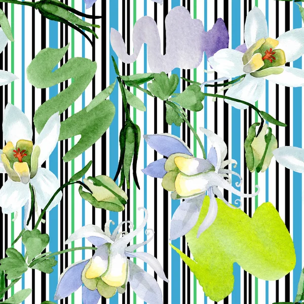 Weiße Aquilegienblüten. schöne Frühlingswildblumen. nahtlose Hintergrundmuster. Textur für Stofftapeten. Aquarell Hintergrundillustration. — Stockfoto