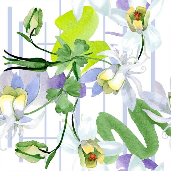 Fleurs aquilegia blanches. Belles fleurs sauvages printanières. Modèle de fond sans couture. Texture d'impression de papier peint tissu. Illustration de fond aquarelle . — Photo de stock