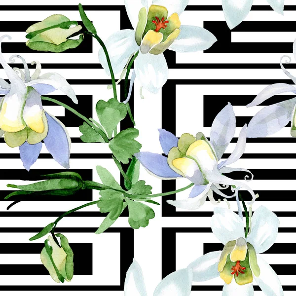 Weiße Aquilegienblüten. schöne Frühlingswildblumen. nahtlose Hintergrundmuster. Textur für Stofftapeten. Aquarell Hintergrundillustration. — Stockfoto