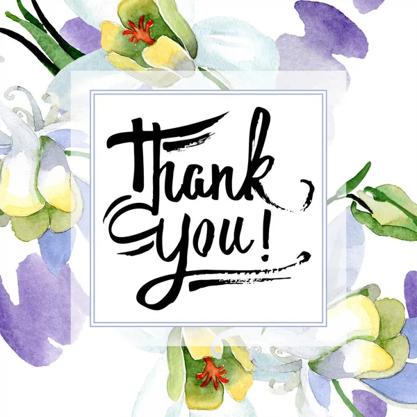 Weiße Aquilegienblüten. Danke für die handschriftliche Monogramm-Kalligraphie. Rahmenquadrat. Aquarell-Hintergrundillustration. schöne Aquilegia Blumen Zeichnung im Aquarell-Stil. — Stockfoto