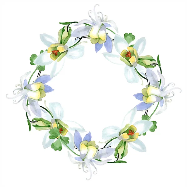 White aquilegia flowers. Frame border ornament wreath. Watercolor background illustration. Beautiful aquilegia flowers drawing in aquarelle style. — Stock Photo