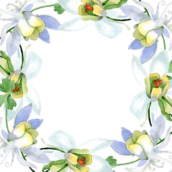 White aquilegia flowers. Frame border ornament wreath. Watercolor background illustration. Beautiful aquilegia flowers drawing in aquarelle style. — Stock Photo