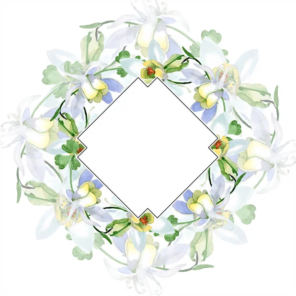 White aquilegia flowers. Frame border ornament square. Watercolor background illustration. Beautiful aquilegia flowers drawing in aquarelle style. — Stock Photo