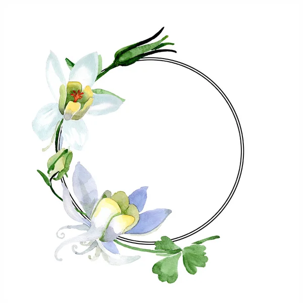 White aquilegia flowers. Frame ornament round. Watercolor background illustration. Beautiful aquilegia flowers drawing in aquarelle style. — Stock Photo