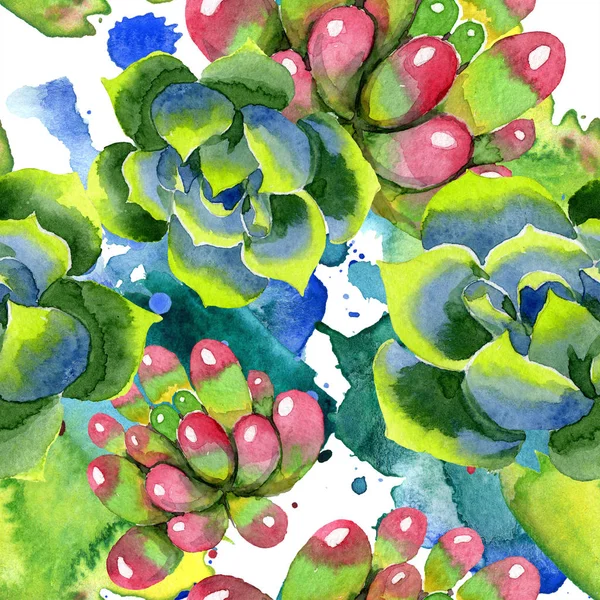 Amazing succulents. Watercolor background illustration. Seamless background pattern. Fabric wallpaper print texture. — Stock Photo