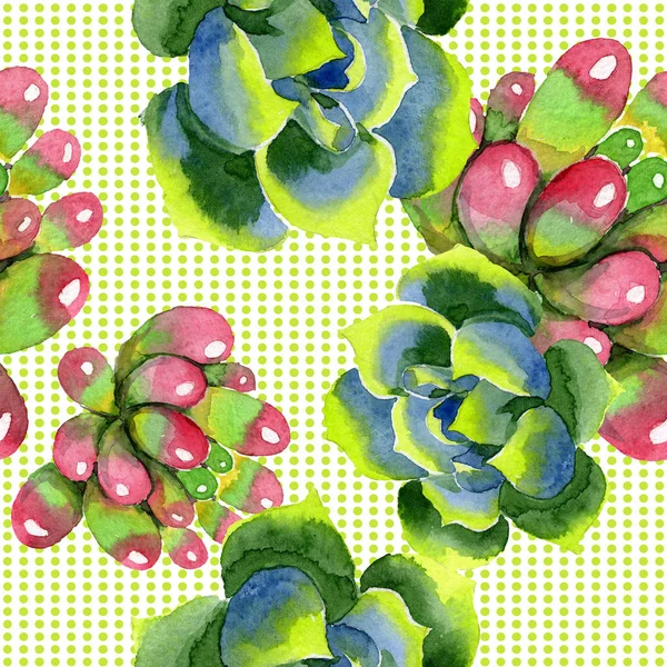 Amazing succulents. Watercolor background illustration. Seamless background pattern. Fabric wallpaper print texture. — Stock Photo