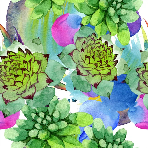 Amazing succulents. Watercolor background illustration. Seamless background pattern. Fabric wallpaper print texture. — Stock Photo