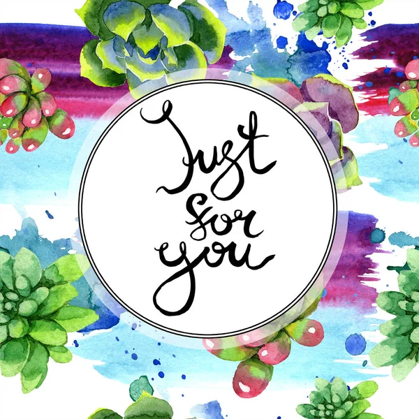 Amazing succulents. Just for you handwriting monogram calligraphy. Watercolor background illustration. Frame border ornament round. Aquarelle hand drawing succulent plants. — Stock Photo